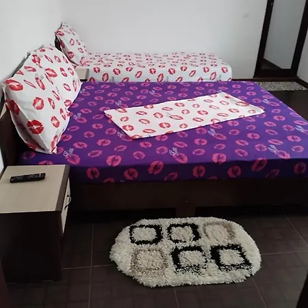 Casa de hóspedes Vila Bejan Schitul