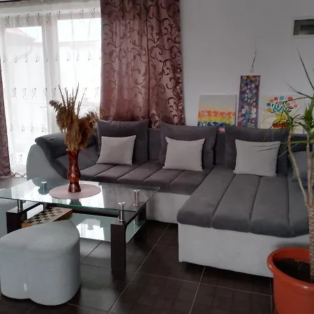 Vila Bejan Casa de hóspedes Schitul